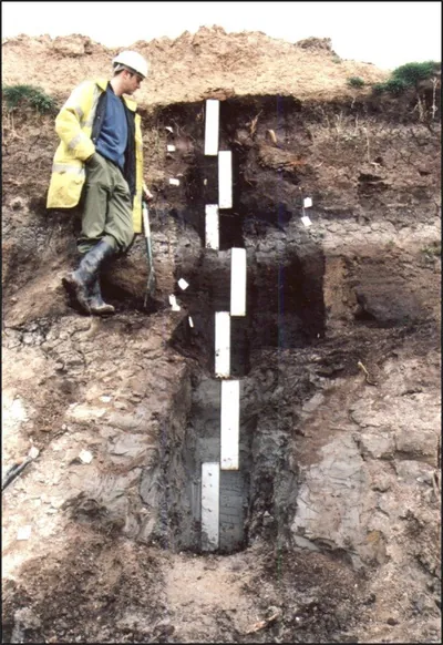 Sediment section sample