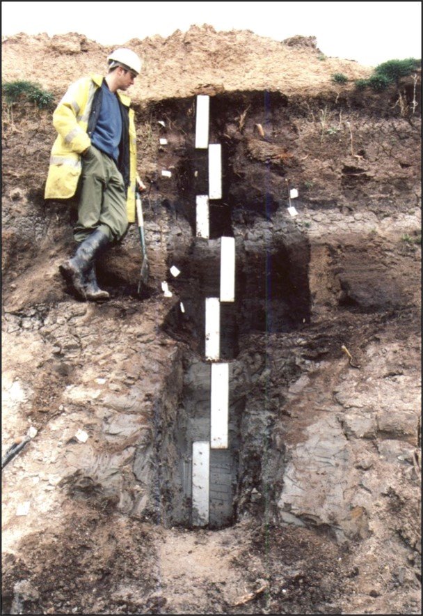 Sediment section sample